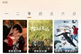 闪映剧场 v1.5.0 安卓绿化版