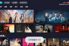 橘汁 v3.0.2.2 TV绿化版