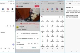 Soul浏览器 v1.4.76 安卓绿化版