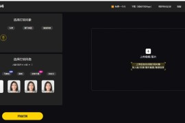 武松打码：AI自动打码，轻松保护你的隐私！