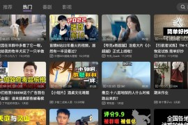 哔哩哔哩第三方BV v0.2.10 TV版