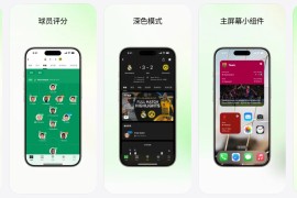 体育FotMob v225.16024 安卓绿化版