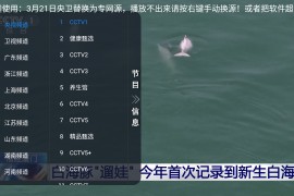 白虎TV v1.0.0 TV版