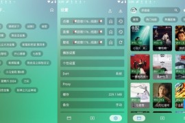 OK影视 v3.4.3/2.9.8 安卓内置源版