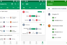 体育FotMob v216.14495 安卓绿化版