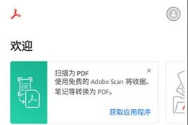 Adobe Acrobat v24.4.0.33145 安卓绿化版