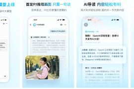 问小白 v5.5.1 安卓绿化版